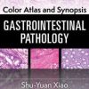 Color Atlas and Synopsis: Gastrointestinal Pathology (PDF)