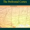 The Prefrontal Cortex, 5th Edition