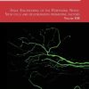 Tissue Engineering of the Peripheral Nerve, Volume 108: Stem Cells and Regeneration Promoting Factors