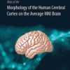 Atlas of the Morphology of the Human Cerebral Cortex on the Average MNI Brain 2019 Original PDF