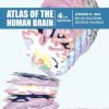 Atlas of the Human Brain, 4th Edition