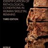 Ortner’s Identification of Pathological Conditions in Human Skeletal Remains, 3rd Edition