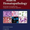 Atlas of Hematopathology: Morphology, Immunophenotype, Cytogenetics, and Molecular Approaches (True PDF)