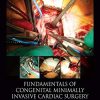 Fundamentals of Congenital Minimally Invasive Cardiac Surgery (PDF)