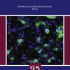 Echinococcus and Echinococcosis, Part A (PDF)