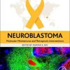 Neuroblastoma: Molecular Mechanisms and Therapeutic Interventions