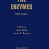 DNA Repair (Volume 45) (The Enzymes, Volume 45) (PDF)