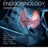 Handbook of Diagnostic Endocrinology, 3rd Edition (PDF)
