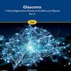 Glaucoma: A Neurodegenerative Disease of the Retina and Beyond: Part A (Volume 256) (Progress in Brain Research, Volume 256) (PDF)