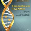 Epigenetics in Psychiatry, 2nd Edition (PDF)