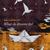 What Do Dreams Do? (PDF)
