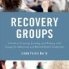 Recovery Groups: A Guide to Creating, Leading, and Working With Groups For Addictions and Mental Health Conditions