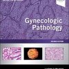 Gynecologic Pathology: A Volume in Foundations in Diagnostic Pathology Series, 2nd Edition (True PDF with ToC + Index)