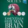 Nolte’s Essentials of the Human Brain, 2e (PDF)