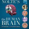 Nolte’s The Human Brain: An Introduction to its Functional Anatomy, 8th Edition (PDF Book)