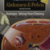 Diagnostic Ultrasound: Abdomen and Pelvis, 2nd Edition (PDF)