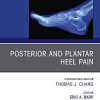 Posterior and plantar heel pain, An Issue of Clinics in Podiatric Medicine and Surgery (PDF)