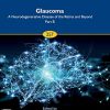 Glaucoma: A Neurodegenerative Disease of the Retina and Beyond Part B (Volume 257) (Progress in Brain Research, Volume 257) (PDF Book)