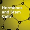 Hormones and Stem Cells (PDF Book)