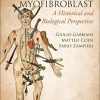 WOUND HEALING, FIBROSIS, AND THE MYOFIBROBLAST: A Historical and Biological Perspective (PDF Book)