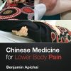 Chinese Medicine for Lower Body Pain (PDF)