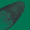 Food-Borne Parasitic Zoonoses: Fish and Plant-Borne Parasites (PDF)
