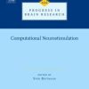 Computational Neurostimulation