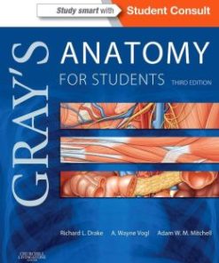 Gray’s Anatomy for Students, 3rd Edition (PDF)