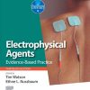 Electrophysical Agents: Evidence-based Practice (Physiotherapy Essentials) (EPUB)