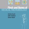 The Flesh and Bones of Medical Microbiology