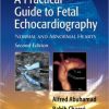 A Practical Guide to Fetal Echocardiography: Normal and Abnormal Hearts, 2nd Edition (EPUB)