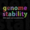 Genome Stability: DNA Repair and Recombination