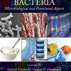 Lactic Acid Bacteria: Microbiological and Functional Aspects (PDF)