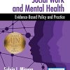 Social Work and Mental Health: Evidence-Based Policy and Practice (PDF)