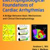 Electrophysiological Foundations of Cardiac Arrhythmias: A Bridge Between Basic Mechanisms and Clinical Electrophysiology (EPUB)