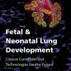 Fetal and Neonatal Lung Development: Clinical Correlates and Technologies for the Future (Lung Growth, Development, and Disease) (PDF)