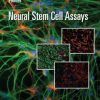 Neural Stem Cell Assays