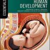 Essential Human Development (Essentials) (EPUB)