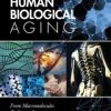 Human Biological Aging: From Macromolecules To Organ Systems