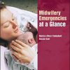 Midwifery Emergencies at a Glance (PDF)