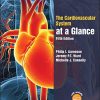 The Cardiovascular System at a Glance, 5th Edition (PDF Book)