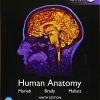 Human Anatomy, Global Edition, 9th Edition (PDF)