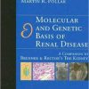 Molecular and Genetic Basis of Renal Disease: A Companion to Brenner and Rector’s The Kidney