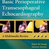 Basic Perioperative Transesophageal Echocardiography (PDF Book)
