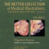 The Netter Collection of Medical Illustrations: Digestive System: Part II – Lower Digestive Tract, Volume 9, 2nd Edition (Netter Green Book Collection)