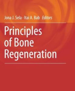 Principles of Bone Regeneration (PDF)