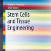 Stem Cells and Tissue Engineering (EPUB)