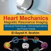 Heart Mechanics: Magnetic Resonance Imaging―Advanced Techniques, Clinical Applications, and Future Trends (Volume 2) (EPUB)