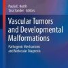 Vascular Tumors and Developmental Malformations: Pathogenic Mechanisms and Molecular Diagnosis (EPUB)