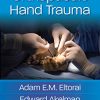 Orthopaedic Hand Trauma (Kindle AZW)